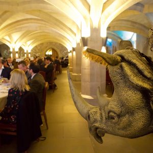 Save the Rhino International Annual Dinner