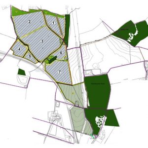 Planning Permission Approved for 35MW Solar Farm